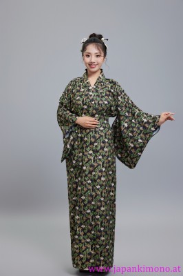 Kimono 6537XXL-XXL